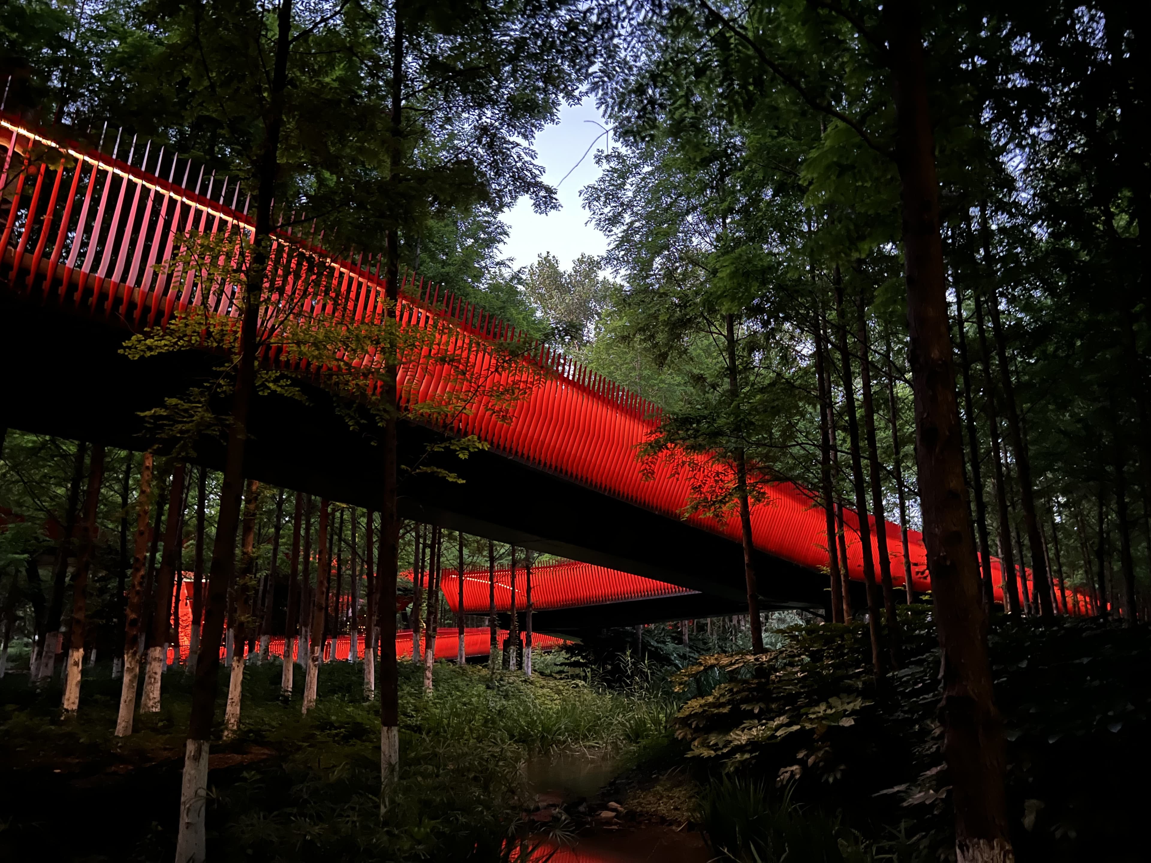 Travel photo IMG_3217